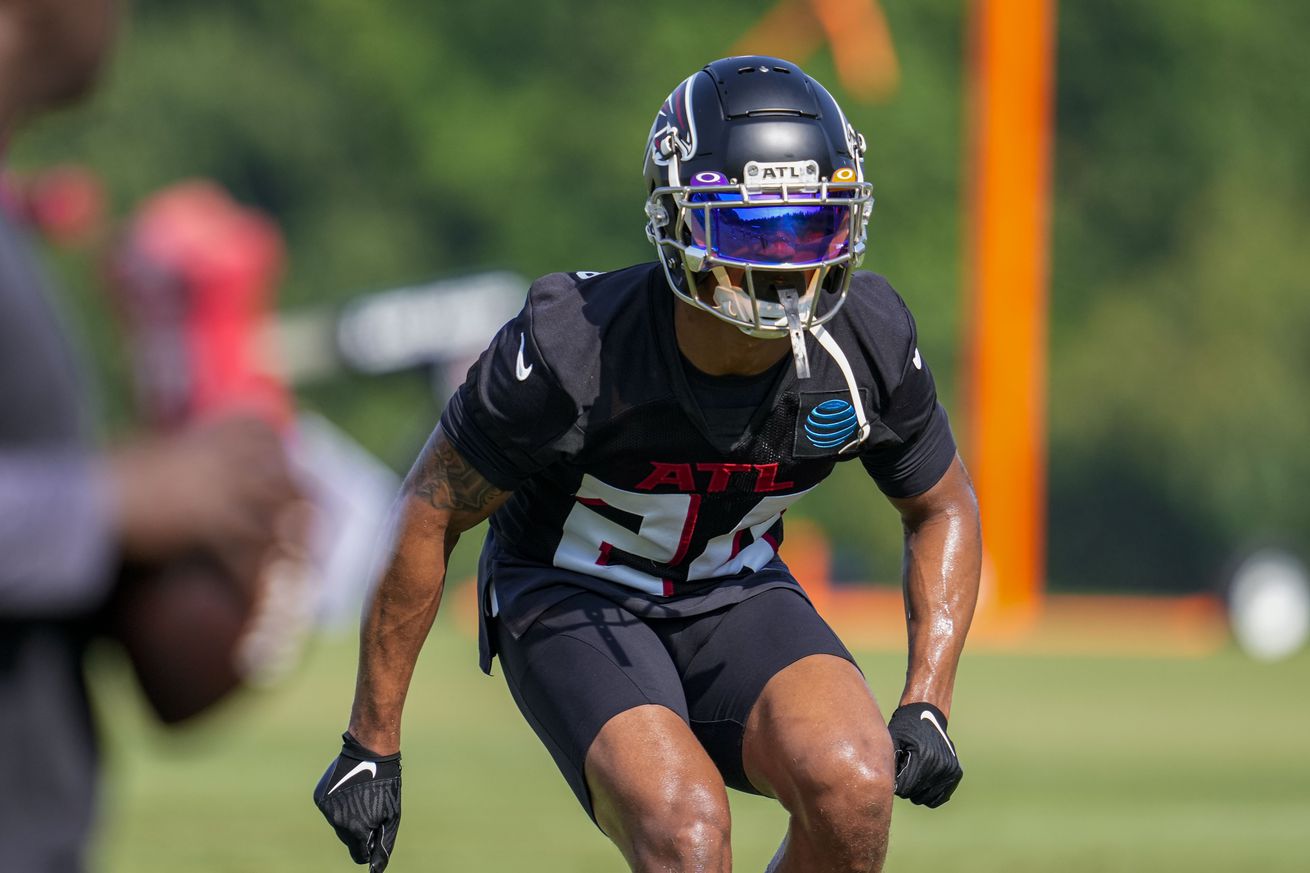 NFL: Atlanta Falcons Training Camp