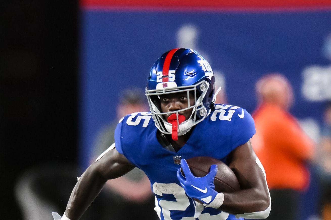 NFL: Preseason-Carolina Panthers at New York Giants